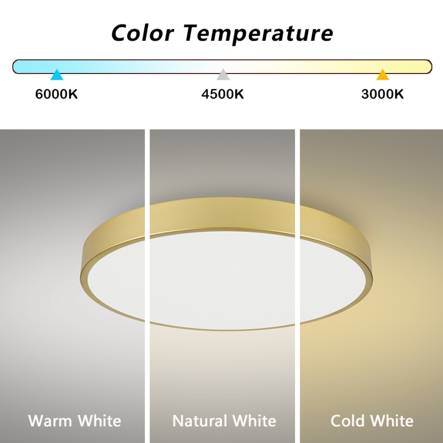 Brilagi - LED stropna svjetiljka POOL LED/100W/230V 3000/4000/6000K promjer 80 cm zlatna