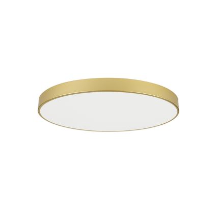 Brilagi - LED stropna svjetiljka POOL LED/100W/230V 3000/4000/6000K promjer 80 cm zlatna