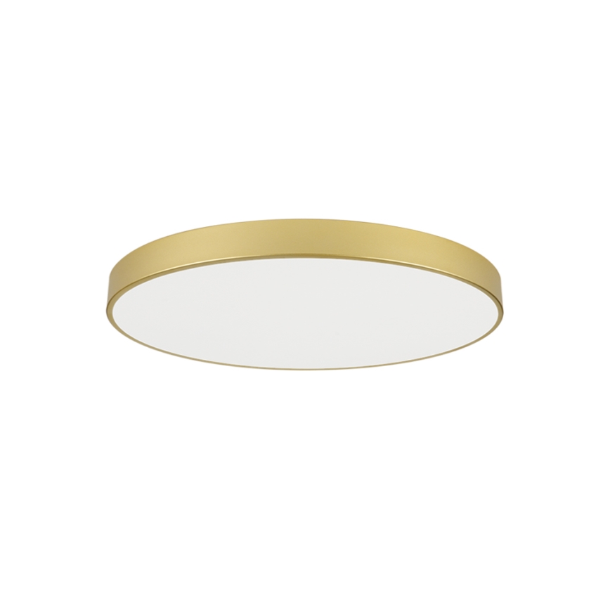 Brilagi - LED stropna svjetiljka POOL LED/100W/230V 3000/4000/6000K promjer 80 cm zlatna
