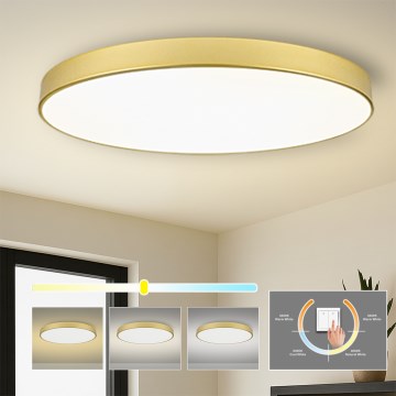 Brilagi - LED stropna svjetiljka POOL LED/180W/230V 3000/4000/6000K promjer 120 cm zlatna