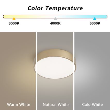 Brilagi - LED stropna svjetiljka POOL LED/24W/230V 3000/4000/6000K Ø 20 cm zlatna