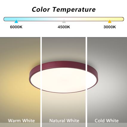 Brilagi - LED stropna svjetiljka POOL LED/36W/230V 3000/4000/6000K pr. 30 cm bordo