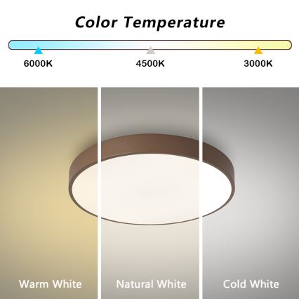 Brilagi - LED stropna svjetiljka POOL LED/36W/230V 3000/4000/6000K Ø 30 cm smeđa
