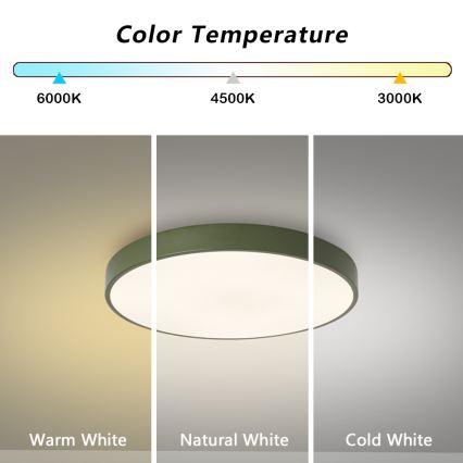 Brilagi - LED stropna svjetiljka POOL LED/36W/230V 3000/4000/6000K Ø 30 cm zelena