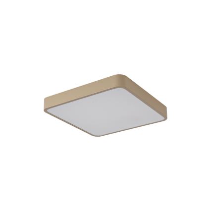 Brilagi - LED stropna svjetiljka POOL LED/36W/230V 3000/4000/6000K 40x40 cm bež