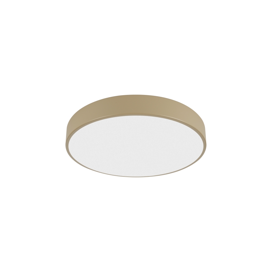 Brilagi - LED stropna svjetiljka POOL LED/36W/230V 3000/4000/6000K Ø 30 cm bež