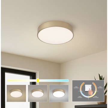 Brilagi - LED stropna svjetiljka POOL LED/36W/230V 3000/4000/6000K Ø 30 cm zlatna