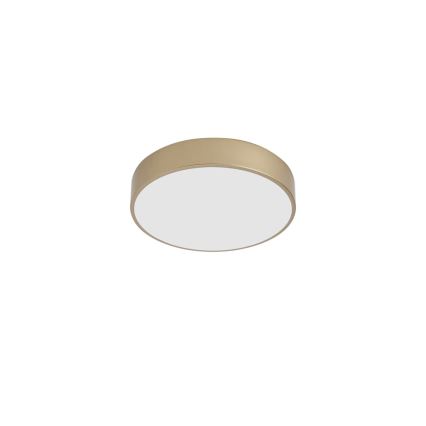 Brilagi - LED stropna svjetiljka POOL LED/36W/230V 3000/4000/6000K Ø 30 cm zlatna