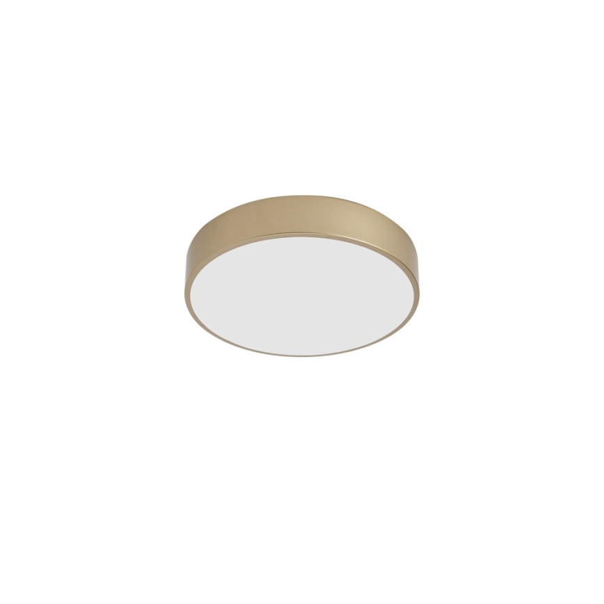 Brilagi - LED stropna svjetiljka POOL LED/36W/230V 3000/4000/6000K Ø 30 cm zlatna
