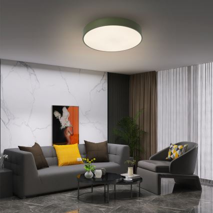 Brilagi - LED stropna svjetiljka POOL LED/48W/230V 3000/4000/6000K promjer 40 cm zelena
