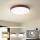 Brilagi - LED stropna svjetiljka POOL LED/48W/230V 3000/4000/6000K Ø 40 cm bordo