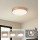 Brilagi - LED stropna svjetiljka POOL LED/48W/230V 3000/4000/6000K Ø 40 cm brončana