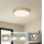 Brilagi - LED stropna svjetiljka POOL LED/48W/230V 3000/4000/6000K Ø 40 cm zlatna