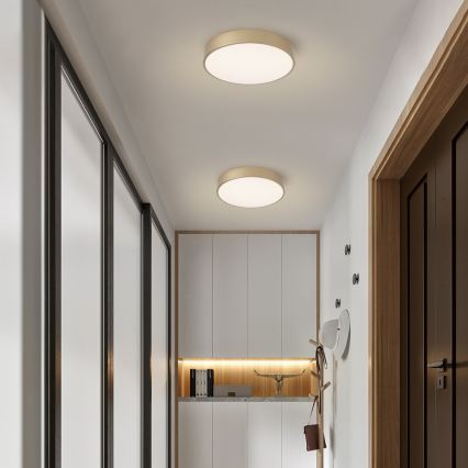 Brilagi - LED stropna svjetiljka POOL LED/48W/230V 3000/4000/6000K Ø 40 cm zlatna