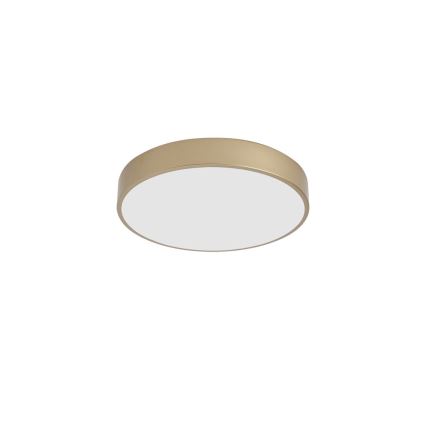 Brilagi - LED stropna svjetiljka POOL LED/48W/230V 3000/4000/6000K Ø 40 cm zlatna