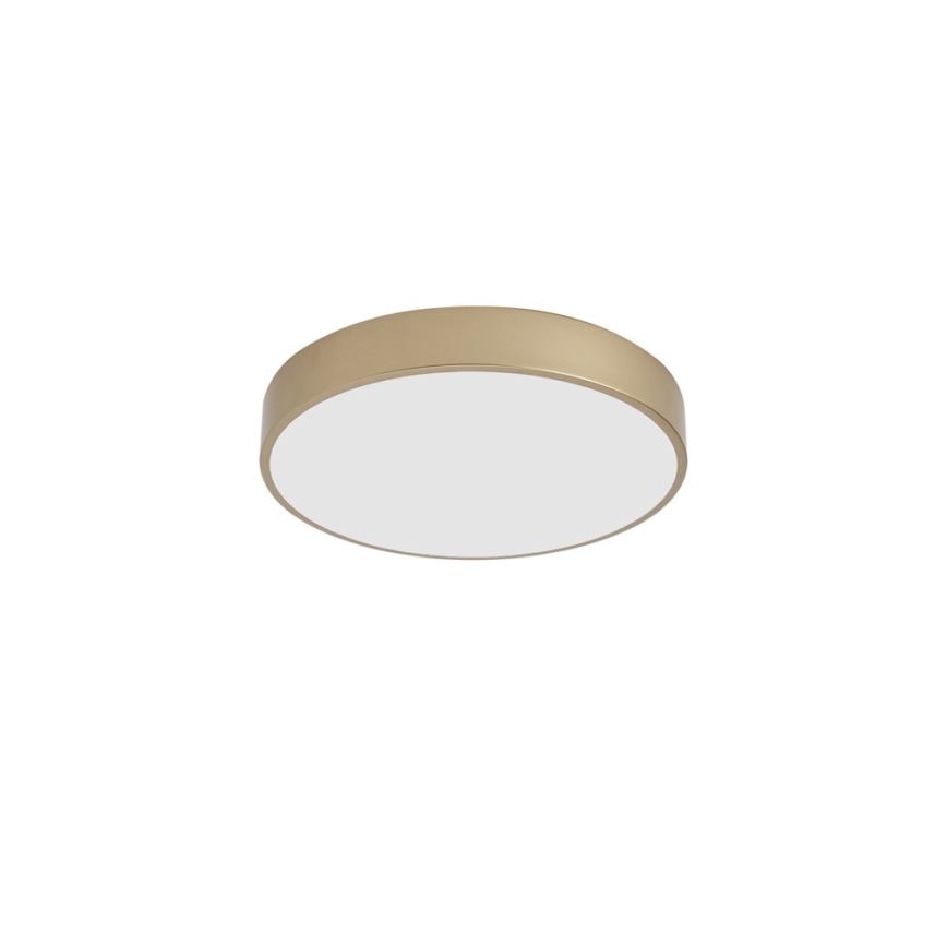 Brilagi - LED stropna svjetiljka POOL LED/48W/230V 3000/4000/6000K Ø 40 cm zlatna