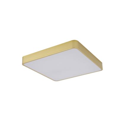 Brilagi - LED stropna svjetiljka POOL LED/48W/230V 3000/4500/6000K 50x50 cm zlatna