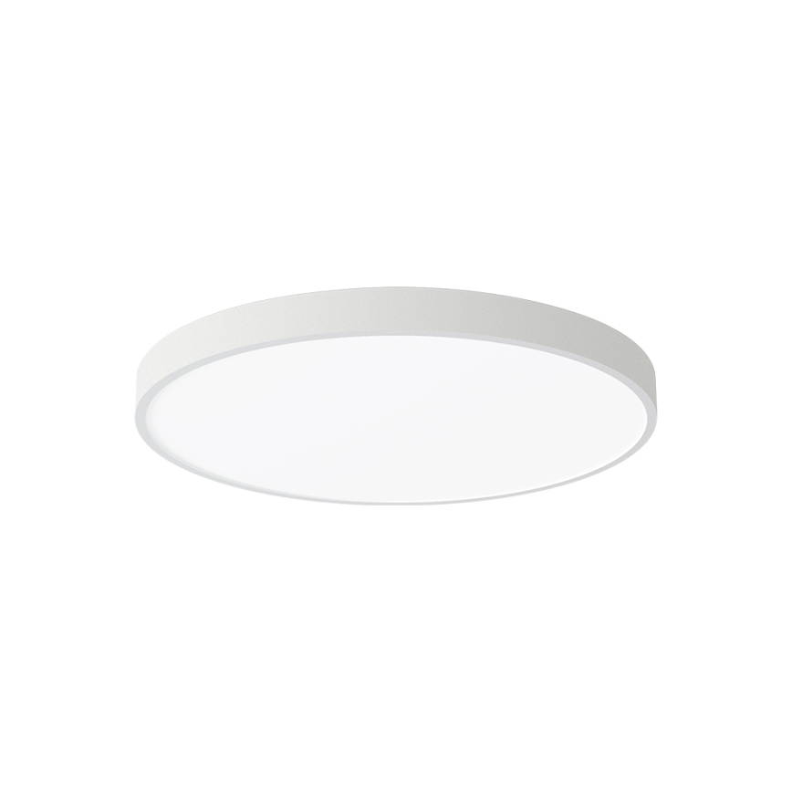 Brilagi - LED stropna svjetiljka POOL LED/60W/230V 3000/4000/6000K 50 cm bijela