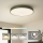 Brilagi - LED stropna svjetiljka POOL LED/60W/230V 3000/4000/6000K promjer 50 cm zelena