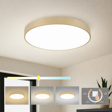 Brilagi - LED stropna svjetiljka POOL LED/60W/230V 3000/4000/6000K, promjer 60 cm, bež