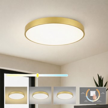 Brilagi - LED stropna svjetiljka POOL LED/60W/230V 3000/4000/6000K Ø 60 cm zlatna