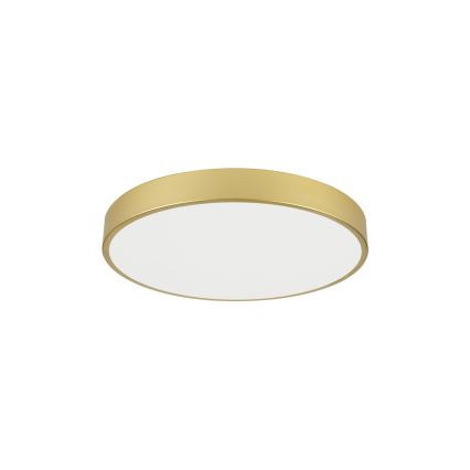 Brilagi - LED stropna svjetiljka POOL LED/60W/230V 3000/4000/6000K Ø 60 cm zlatna