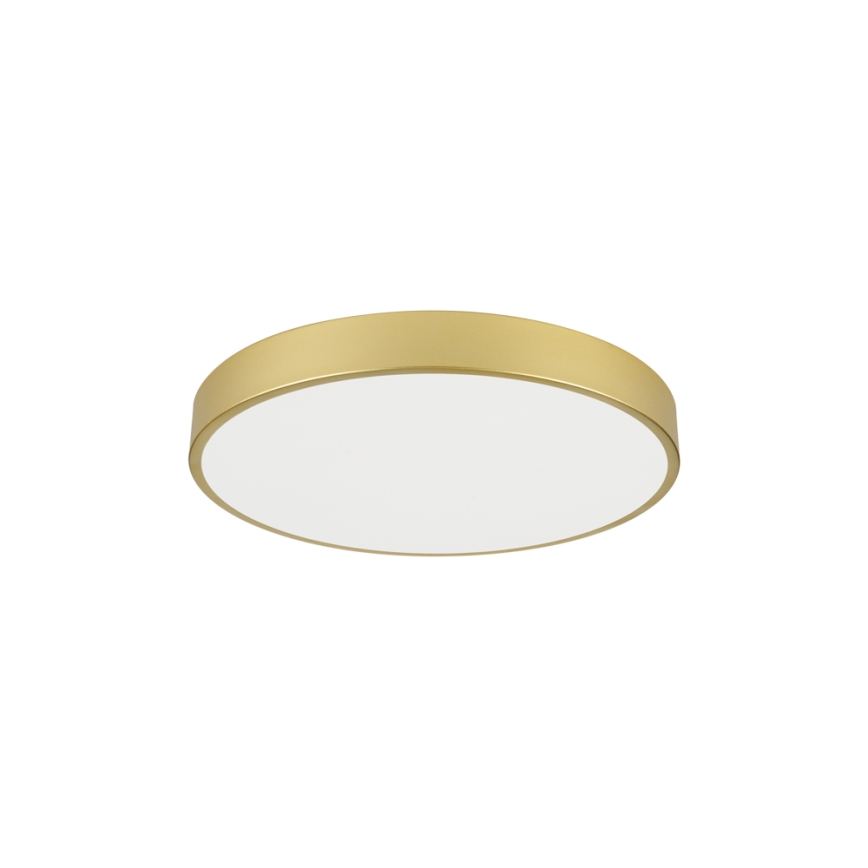 Brilagi - LED stropna svjetiljka POOL LED/60W/230V 3000/4000/6000K Ø 60 cm zlatna