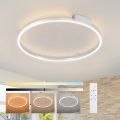 Brilagi - LED stropna svjetiljka PORTOFINO s možností prigušivanja LED/60W/230V 3000-6000K Ø 80 cm srebrna + daljinski upravljač