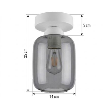 BRILAGI - LED stropno svjetlo RETRO GLASS 1xE27/60W/230V Ø 14 cm bijela/dimno siva