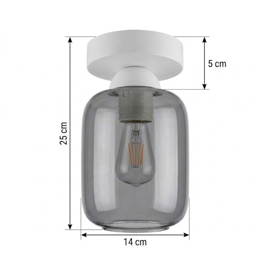 BRILAGI - LED stropno svjetlo RETRO GLASS 1xE27/60W/230V Ø 14 cm bijela/dimno siva
