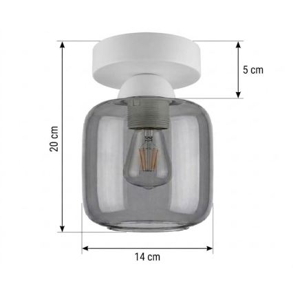 BRILAGI - LED stropno svjetlo RETRO GLASS 1xE27/60W/230V Ø 14 cm bijela/zadimljeno-siva