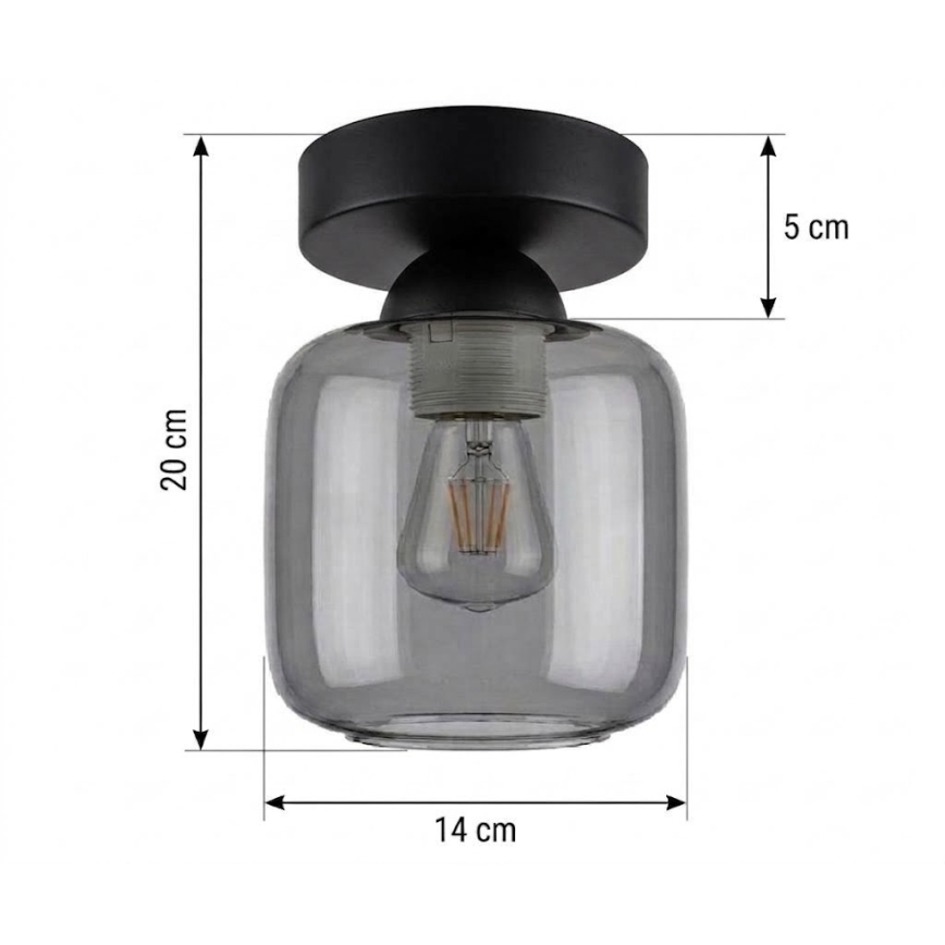 BRILAGI - LED stropna svjetiljka RETRO GLASS 1xE27/60W/230V Ø 14 cm crna/dimno siva