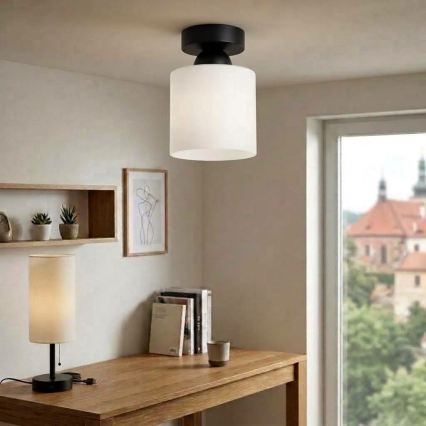 BRILAGI - LED Stropna svjetiljka RETRO GLASS 1xE27/60W/230V Ø 10 cm crna/bijela