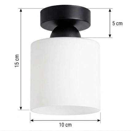 BRILAGI - LED Stropna svjetiljka RETRO GLASS 1xE27/60W/230V Ø 10 cm crna/bijela