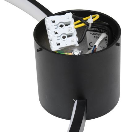 Brilagi - LED Stropna svjetiljka RINGO LED/18W/230V