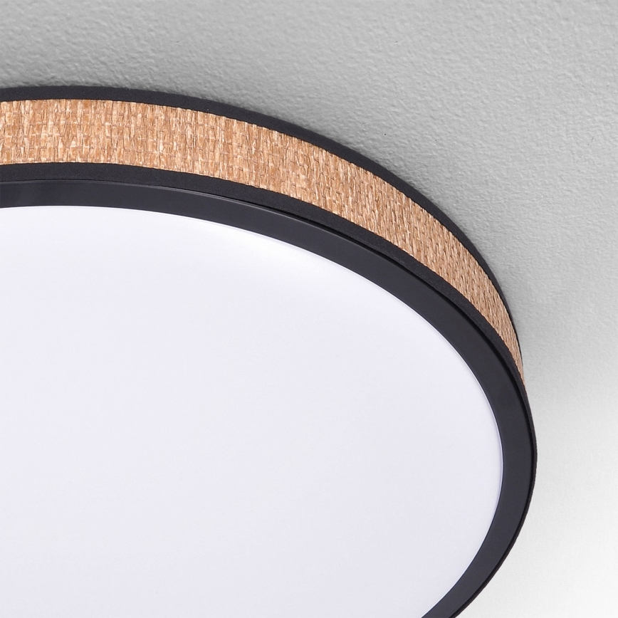 Brilagi - LED stropna svjetiljka s prigušivanjem ROSA LED/48W/230V 3000-6500K promjer 38 cm + daljinski upravljač
