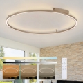 Brilagi - LED stropna svjetiljka s mogućnošću prigušivanja PORTOFINO LED/85W/230V 3000-6000K promjer 120 cm bež + daljinski upravljač