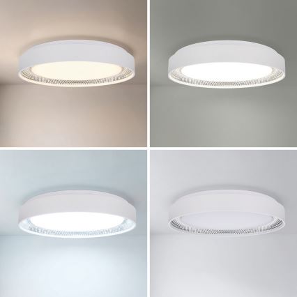 Brilagi - LED stropna svjetiljka s prigušivanjem WALDO LED/48W/230V 3000-6500K Ø 40 cm bijela/srebrna + daljinski upravljač