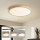 Brilagi - LED stropna svjetiljka s mogućnošću prigušivanja WOODLINE LED/72W/230V 3000-6000K hrast promjera 60 cm + daljinski upravljač