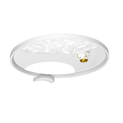 Brilagi - LED stropno svjetlo s mogućnošću prigušivanja ASTRO LED/20W/230V Ø 50 cm 3000-6000K astronaut + daljinsko upravljanje