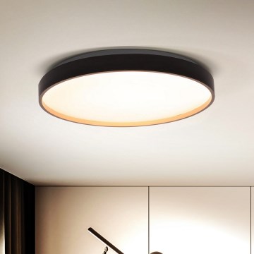 Brilagi - LED stropna svjetiljka s prigušivanjem CALA LED/48W/230V 3000-6500K promjer 38 cm + daljinski upravljač