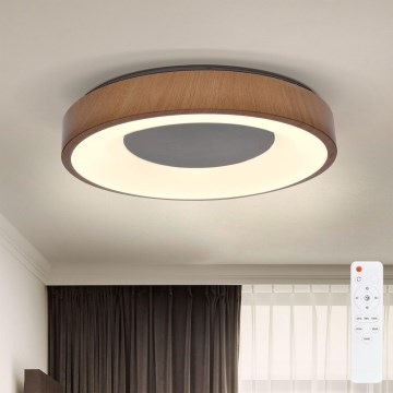 Brilagi - LED stropna svjetiljka s prigušivanjem DORIA LED/48W/230V 3000-6500K promjer 39 cm + daljinski upravljač