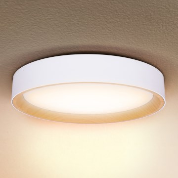 Brilagi - LED stropna svjetiljka s prigušivanjem LARIOS LED/48W/230V 3000-6500K Ø 39 cm bijela + daljinski upravljač