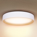 Brilagi - LED stropna svjetiljka s prigušivanjem LARIOS LED/60W/230V 3000-6500K Ø 49 cm bijela + daljinski upravljač