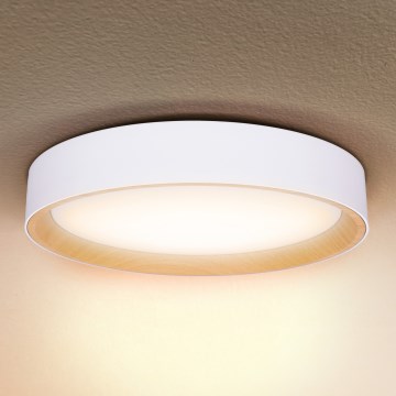 Brilagi - LED stropna svjetiljka s prigušivanjem LARIOS LED/60W/230V 3000-6500K Ø 49 cm bijela + daljinski upravljač
