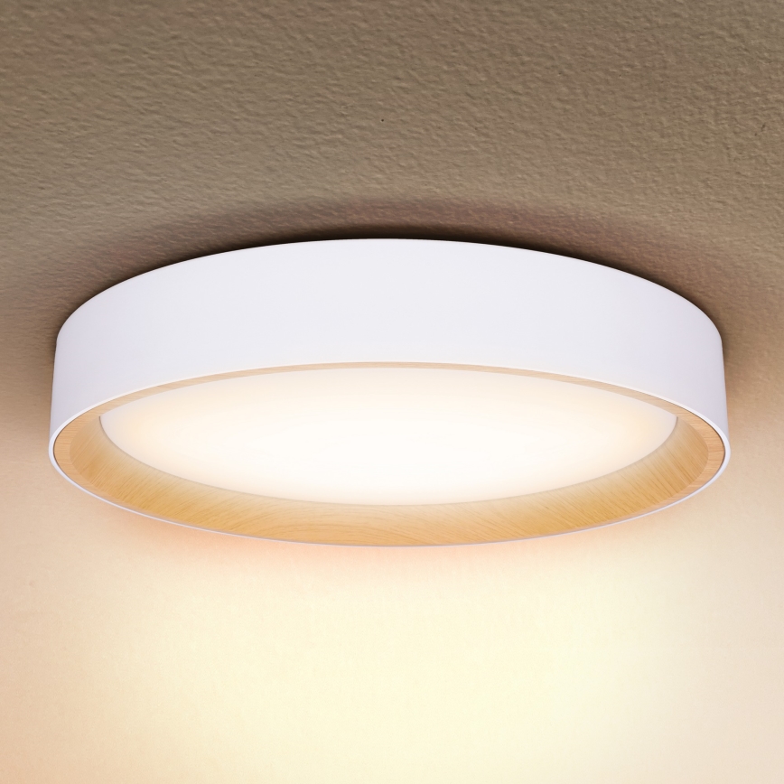 Brilagi - LED stropna svjetiljka s prigušivanjem LARIOS LED/60W/230V 3000-6500K Ø 49 cm bijela + daljinski upravljač