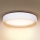 Brilagi - LED stropna svjetiljka s prigušivanjem LARIOS LED/60W/230V 3000-6500K Ø 49 cm bijela + daljinski upravljač