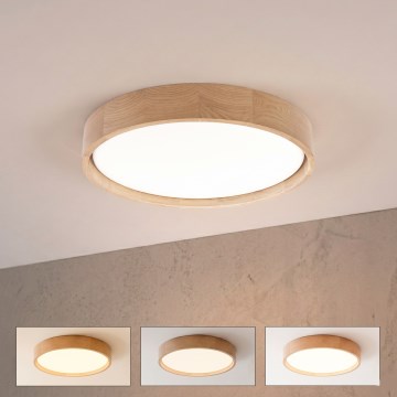 Brilagi - LED stropna svjetiljka s prigušivanjem MANAROLA REMOTE LED/24W/230V 3000-6500K promjer 41 cm hrast + daljinski upravljač