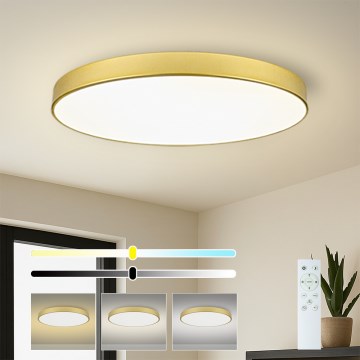 Brilagi - LED stropna svjetiljka s prigušivanjem POOL SMART LED/128W/230V 3000-6000K 100 cm zlatna Wi-Fi Tuya + daljinski upravljač