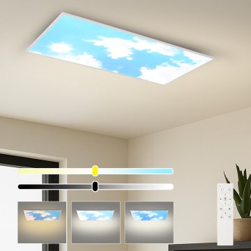 Brilagi - LED stropna svjetiljka s prigušivanjem SLIMFRAME LED/80W/230V 120x60 cm 3000-6000K srebrna/plava + daljinski upravljač